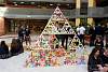 triangulo_troyo2015248.jpg