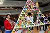 triangulo_troyo2015252.jpg