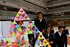 triangulo_troyo2015261.jpg