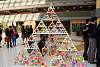 triangulo_troyo2015267.jpg