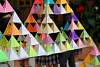 triangulo_troyo2015275.jpg