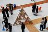 triangulo_troyo2015288.jpg