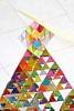 triangulo_troyo2015299.jpg
