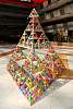 triangulo_troyo2015332.jpg