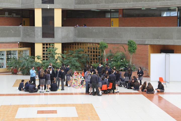 Ir a la Siguiente Foto