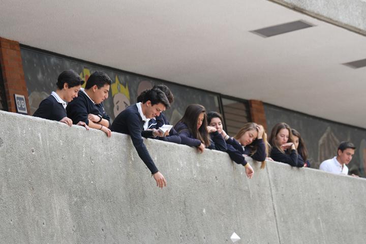 Ir a la Siguiente Foto