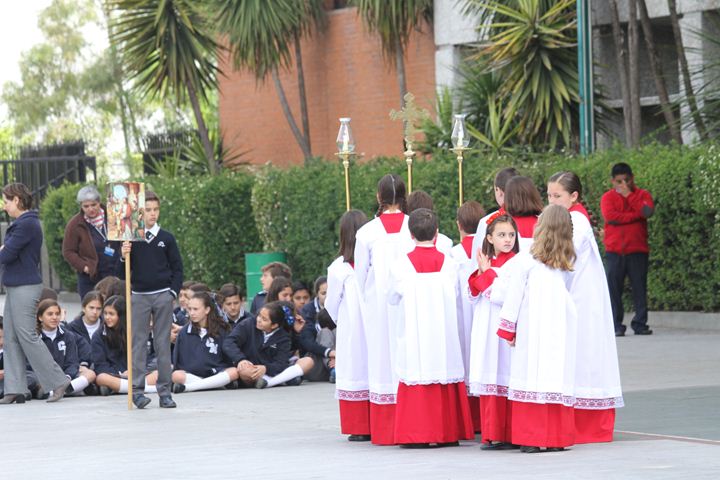 Ir a la Siguiente Foto