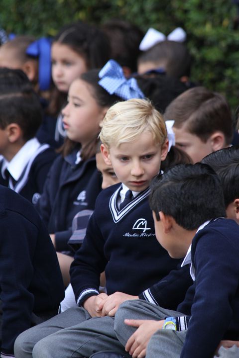 Ir a la Siguiente Foto