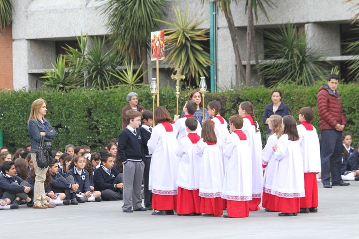 Ir a la Siguiente Foto