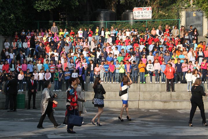 Ir a la Siguiente Foto