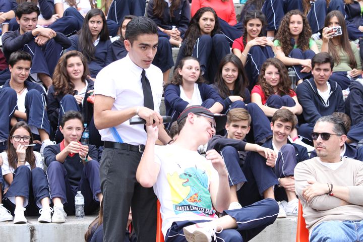 Ir a la Siguiente Foto
