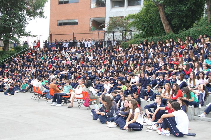 Ir a la Siguiente Foto