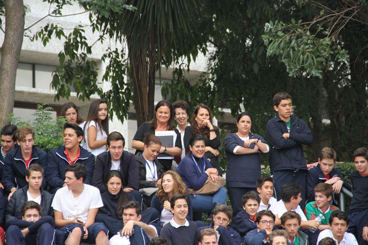 Ir a la Siguiente Foto