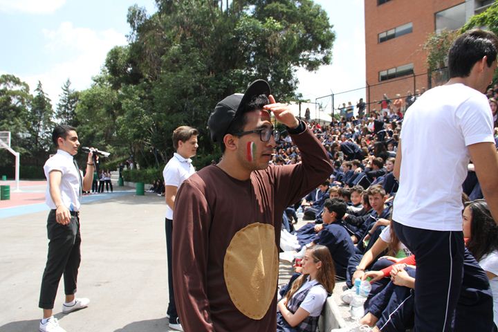 Ir a la Siguiente Foto