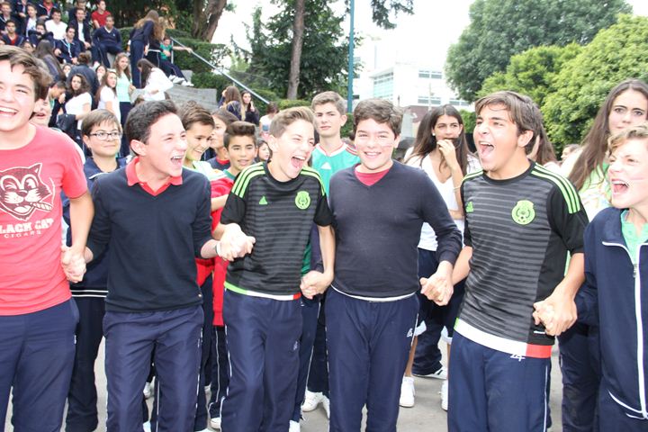 Ir a la Siguiente Foto