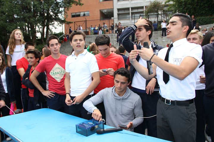 Ir a la Siguiente Foto