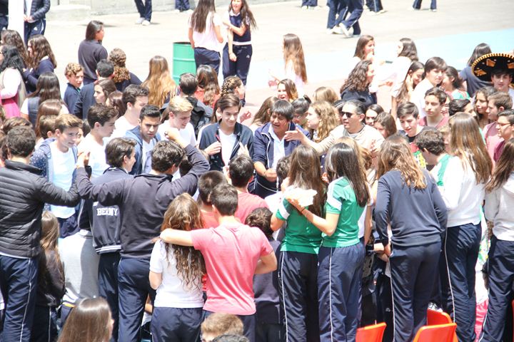 Ir a la Siguiente Foto