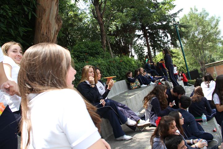 Ir a la Siguiente Foto