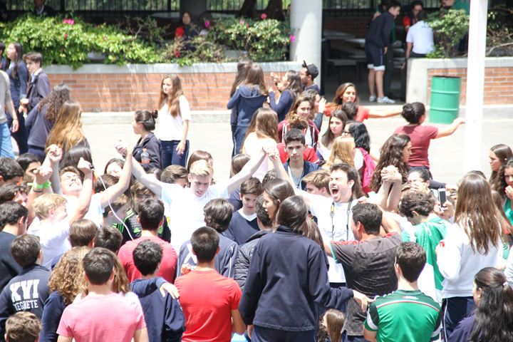 Ir a la Siguiente Foto
