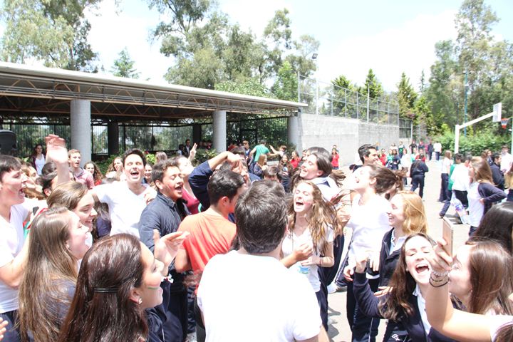 Ir a la Siguiente Foto