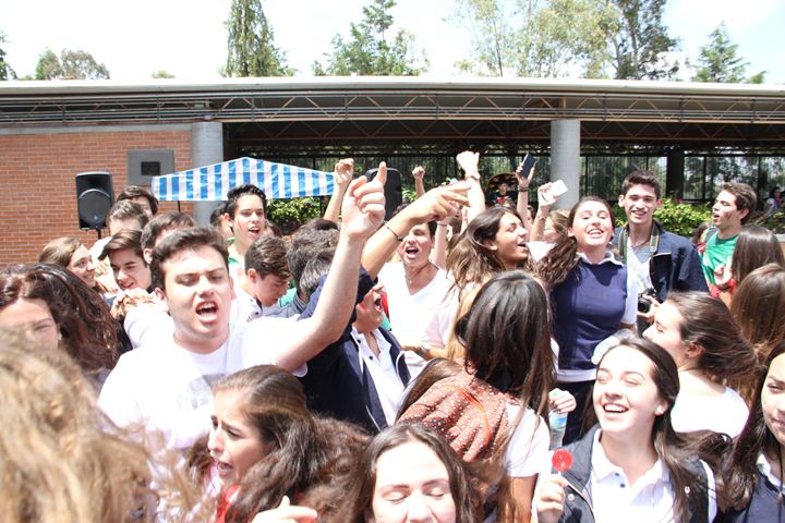 Ir a la Siguiente Foto