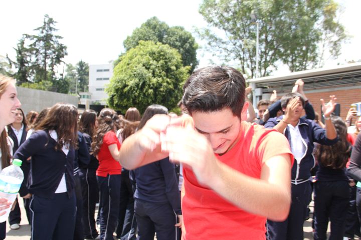 Ir a la Siguiente Foto