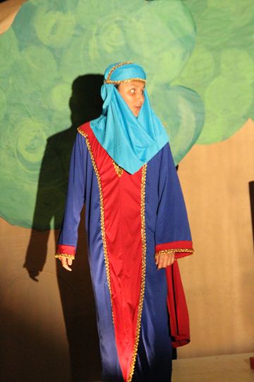 Ir a la Siguiente Foto