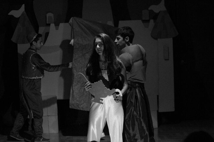 Ir a la Siguiente Foto