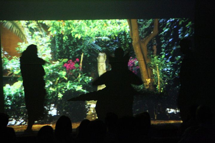 Ir a la Siguiente Foto