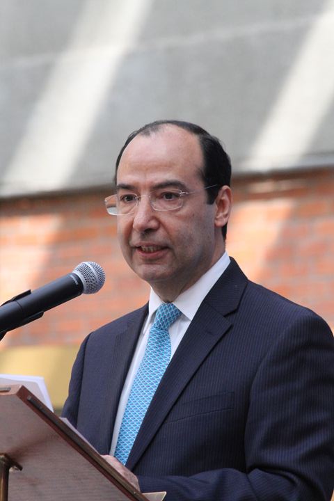 Ir a la Siguiente Foto