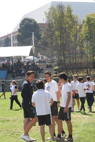 Ir a la Siguiente Foto