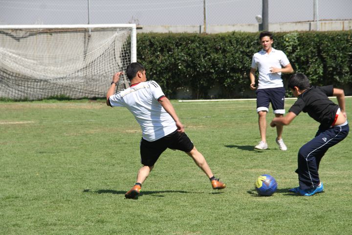 Ir a la Siguiente Foto