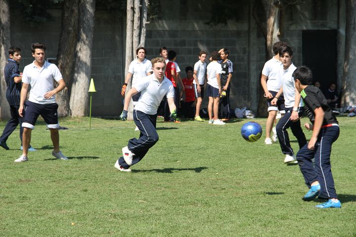 Ir a la Siguiente Foto