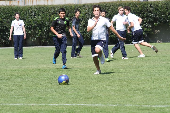 Ir a la Siguiente Foto