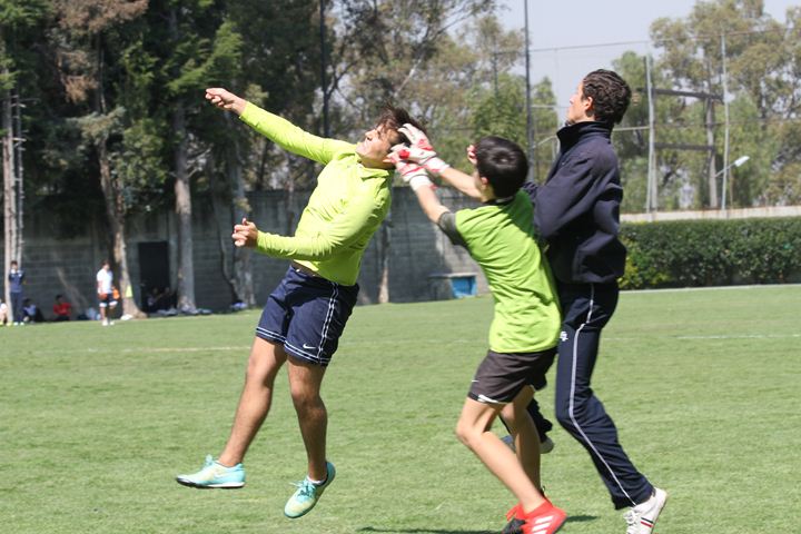 Ir a la Siguiente Foto