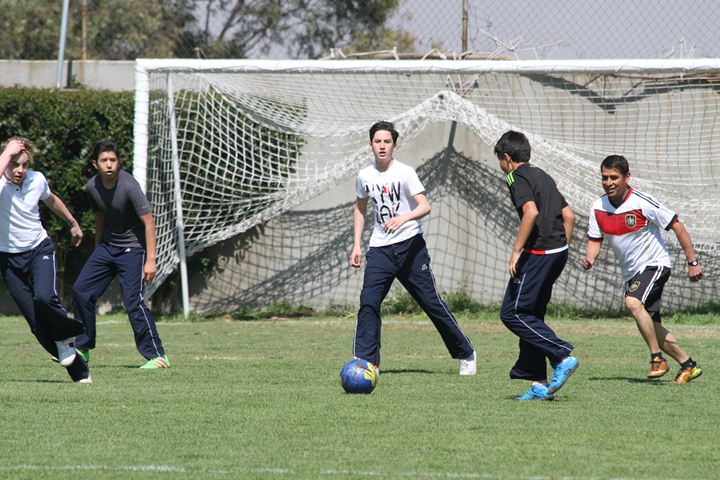 Ir a la Siguiente Foto