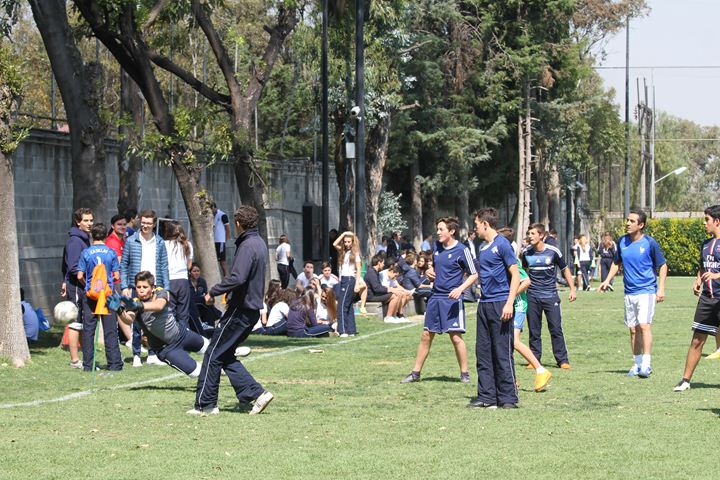 Ir a la Siguiente Foto