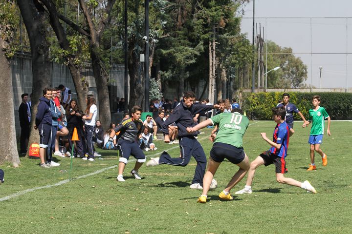 Ir a la Siguiente Foto