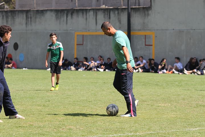 Ir a la Siguiente Foto