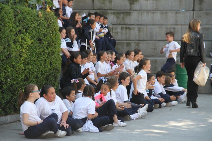 Ir a la Siguiente Foto