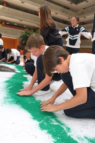 Ir a la Siguiente Foto