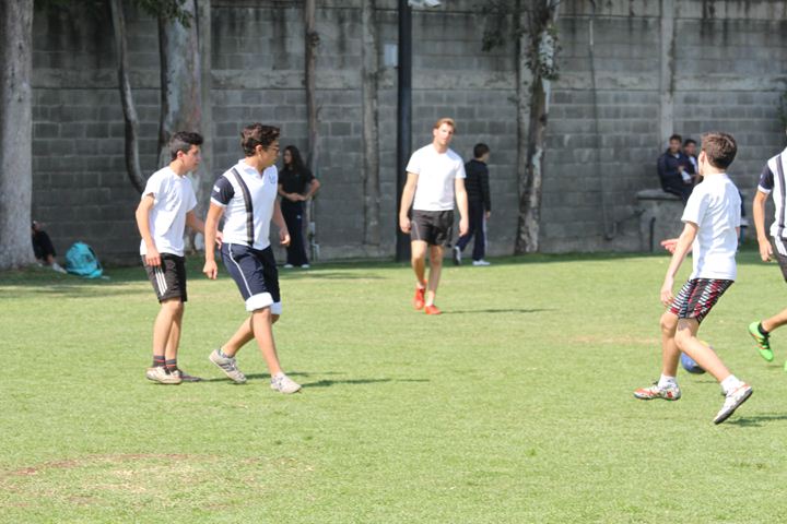 Ir a la Siguiente Foto