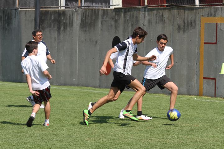 Ir a la Siguiente Foto