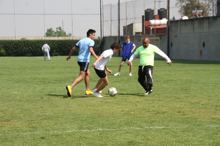 Ir a la Siguiente Foto