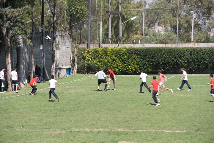 Ir a la Siguiente Foto