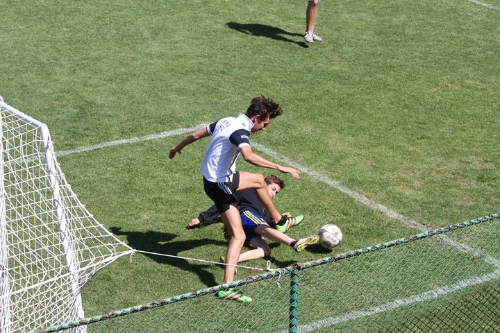 Ir a la Siguiente Foto