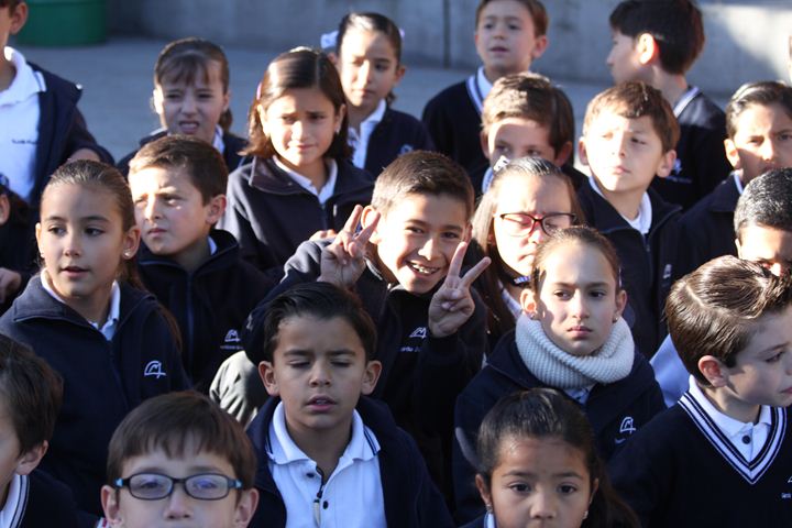 Ir a la Siguiente Foto