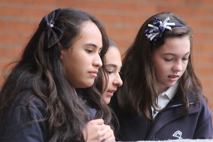 Ir a la Siguiente Foto