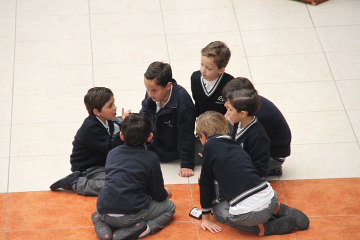 Ir a la Siguiente Foto