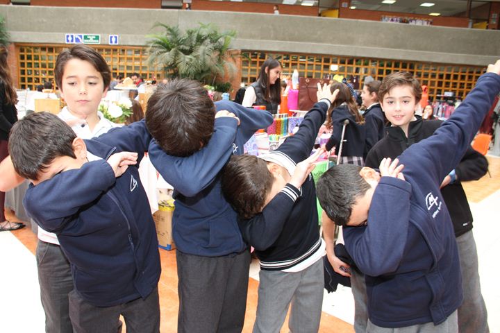 Ir a la Siguiente Foto